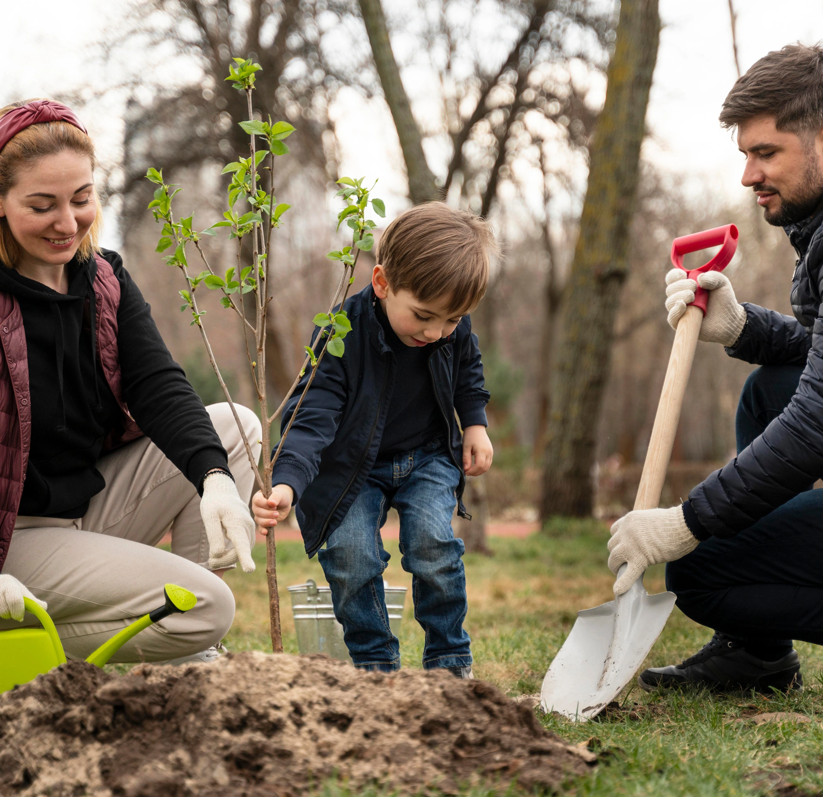 tree-planting