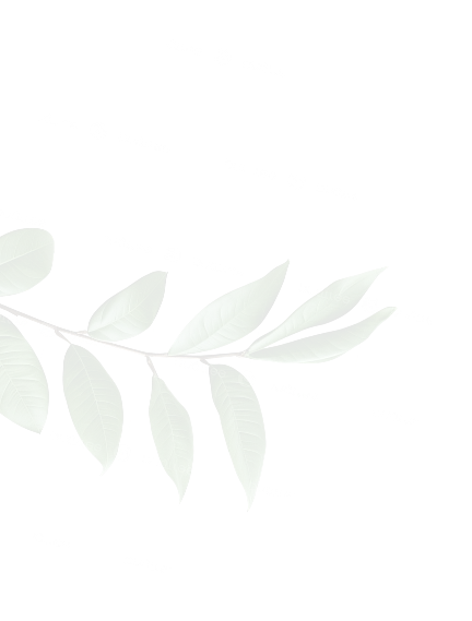 leaf-img