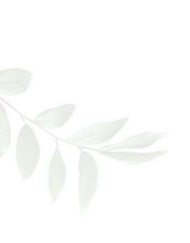 leaf-img